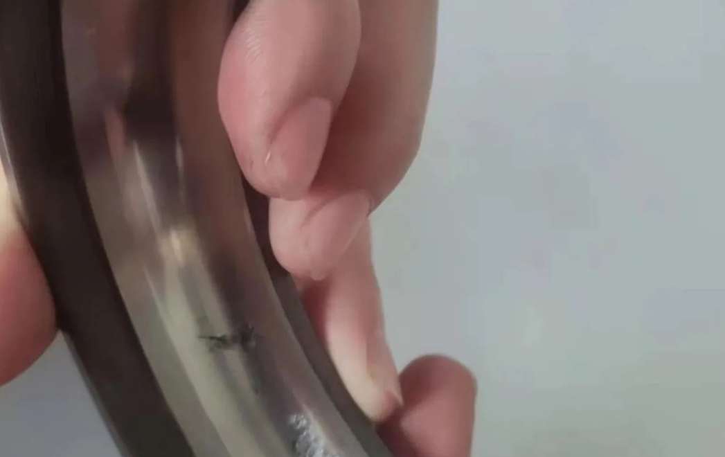 發現泵非.jpg