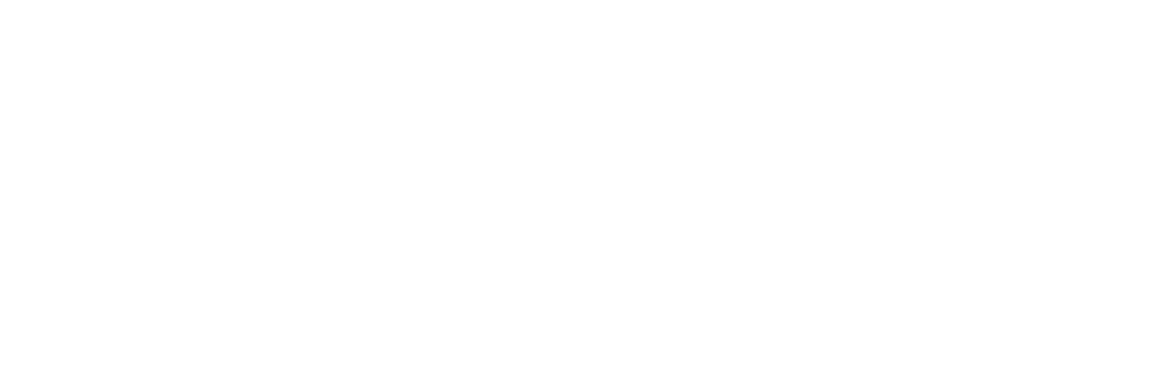 華潤白logo.png